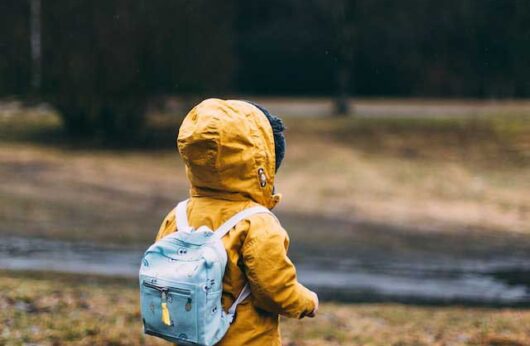 Supreme Court of Canada Provides a Clear Framework for Relocation Applications