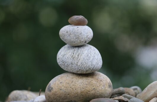 The importance of limitation periods in estate litigation:  Balancing Interests Years After the Fact